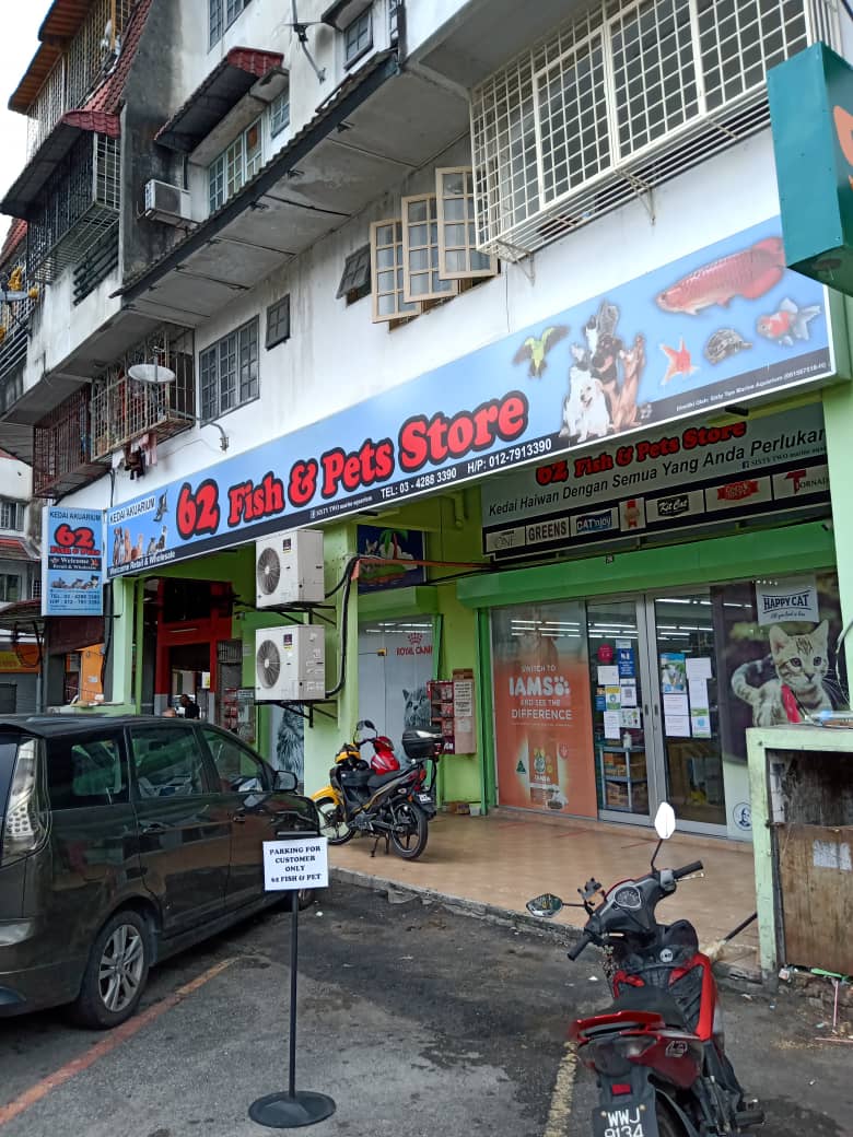 Water Front Pet Shop 7